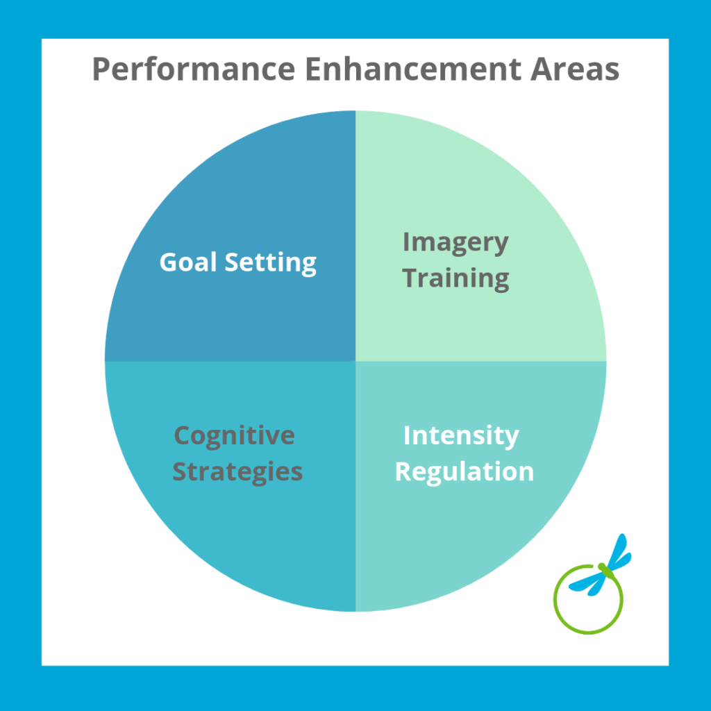 Performance psychology